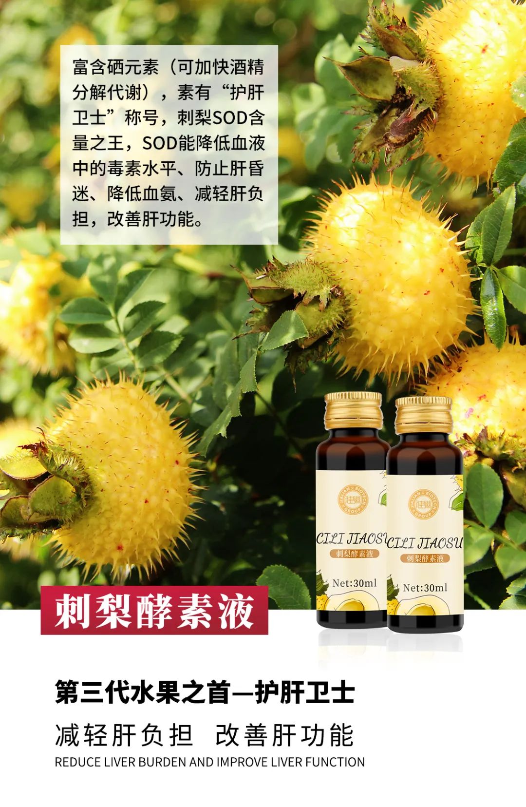 酵素代加工厂家|春季流行的项目和选品? 酵素代加工厂家|春季流行的项目和选品?