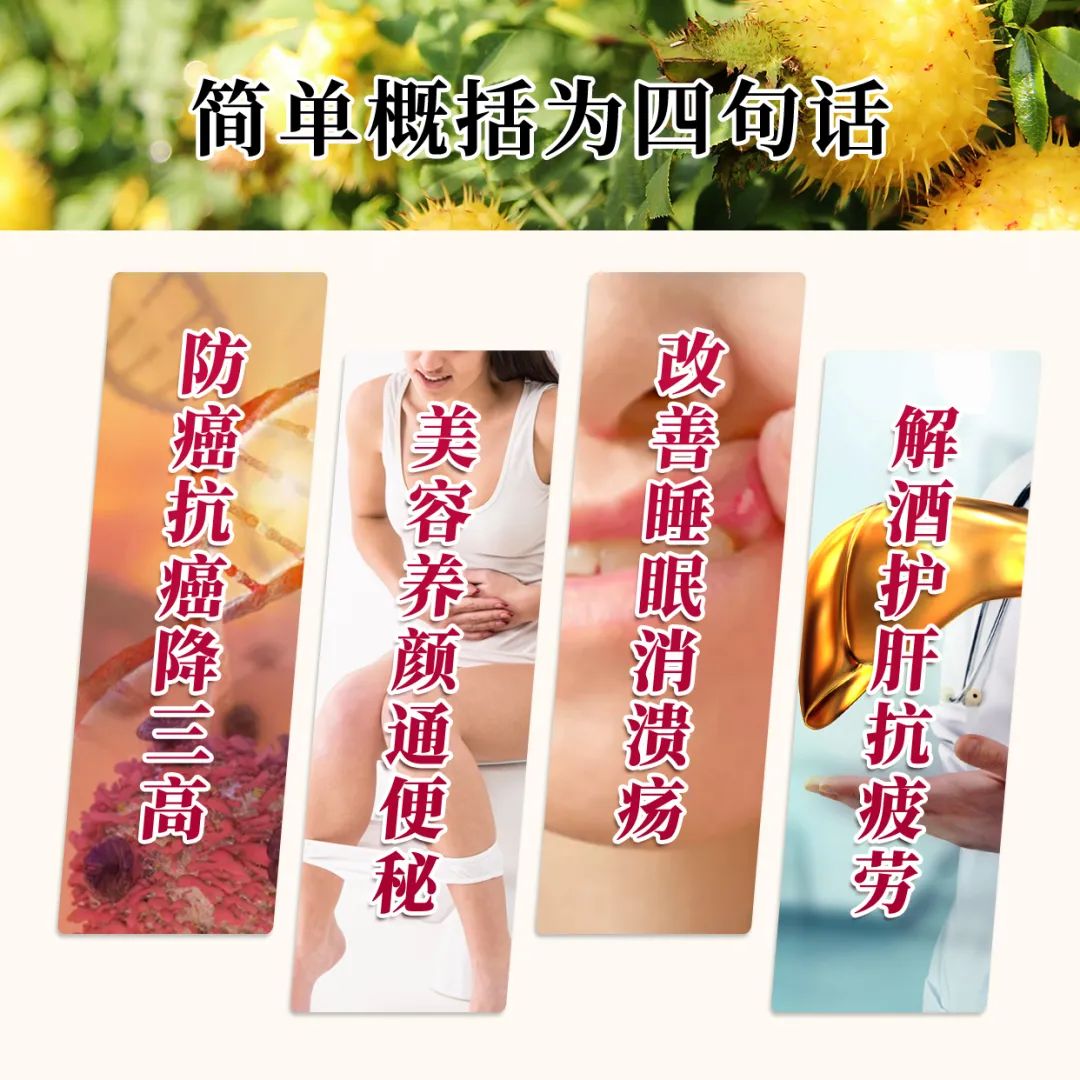 3年增长3倍!贵州刺梨跃升为百亿级特色优势产业! 3年增长3倍!贵州刺梨跃升为百亿级特色优势产业!