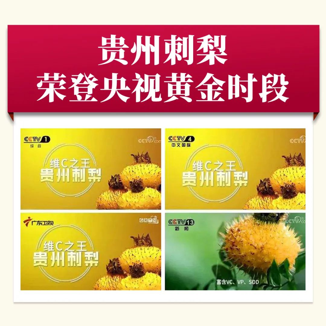贵州刺梨进迪拜,刺梨产业开新局 贵州刺梨进迪拜,刺梨产业开新局