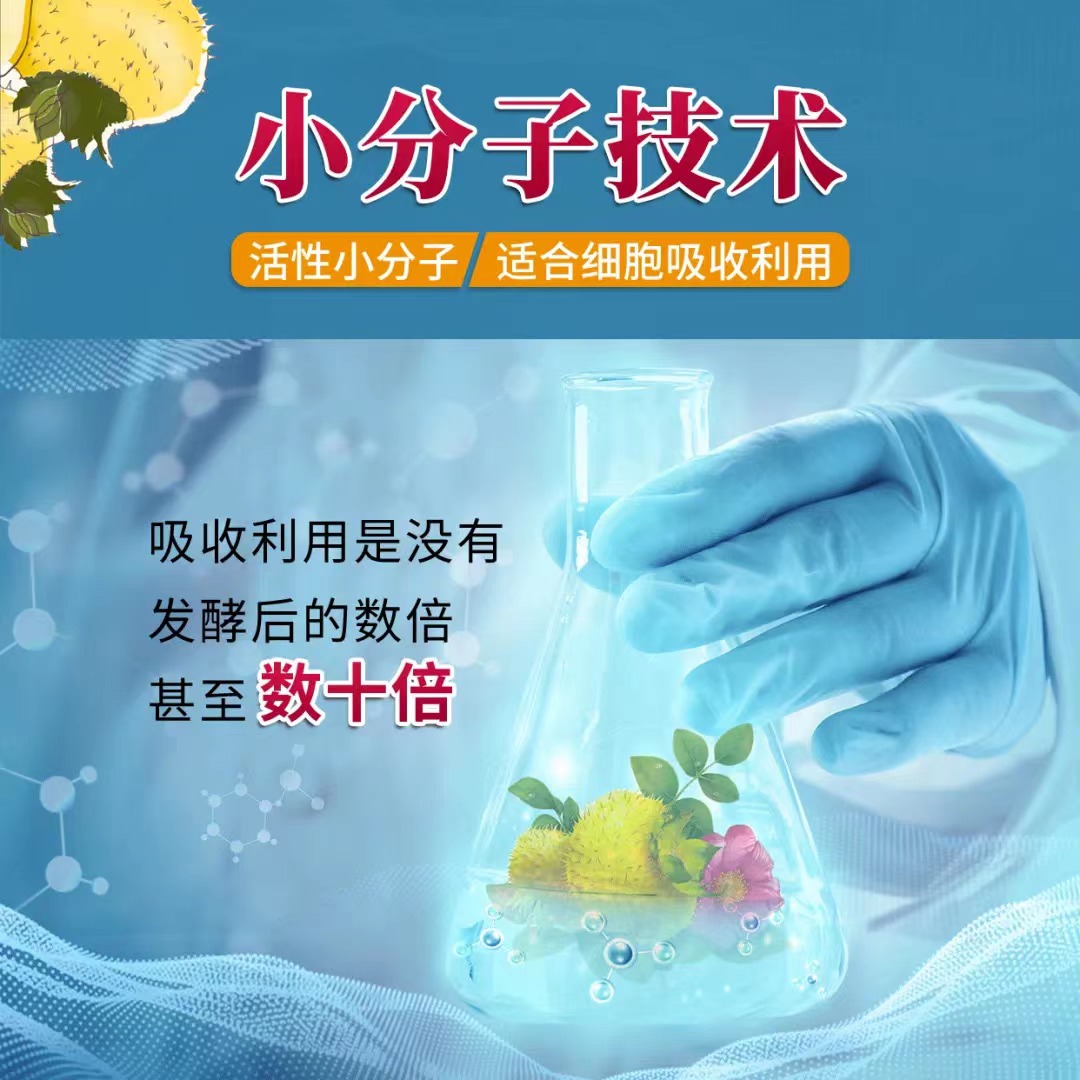 贵州刺梨进迪拜,刺梨产业开新局 贵州刺梨进迪拜,刺梨产业开新局