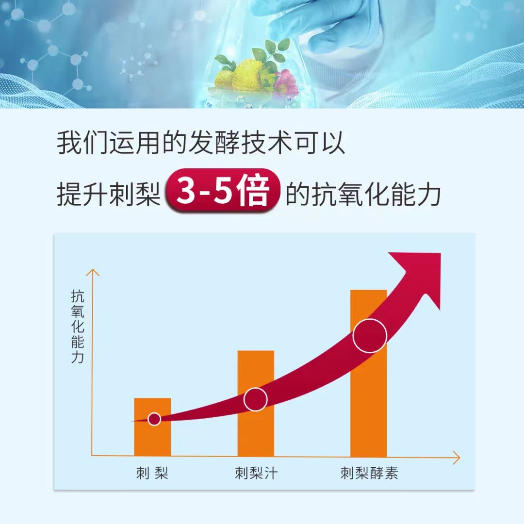 贵州刺梨进迪拜,刺梨产业开新局 贵州刺梨进迪拜,刺梨产业开新局
