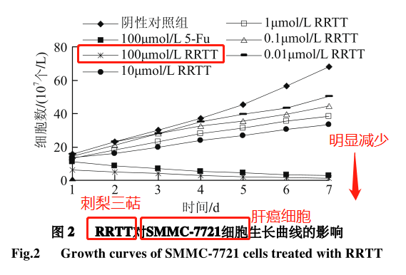 自由基——人体健康和衰老的最大元凶! 自由基——人体健康和衰老的最大元凶!