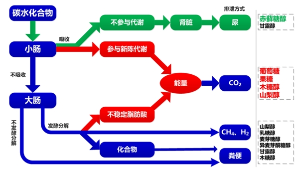 佳联生技集团|代糖热门原料——赤藓糖醇 佳联生技集团|代糖热门原料——赤藓糖醇