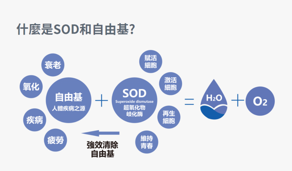 SOD | 保持年轻健康的活力之源! SOD | 保持年轻健康的活力之源!