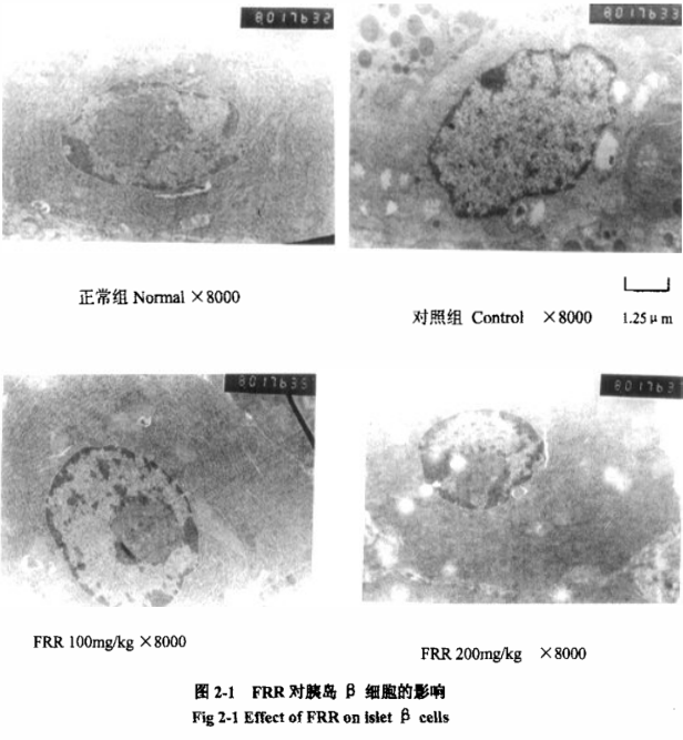 酵素代加工厂|生态珍果,果中黄金,贵州刺梨究竟有什么魔力? 酵素代加工厂|生态珍果,果中黄金,贵州刺梨究竟有什么魔力?