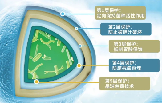 益生菌代加工厂|“腹泻株”来了,日常养护很重要,别让肠道措手不及! 益生菌代加工厂|“腹泻株”来了,日常养护很重要,别让肠道措手不及!