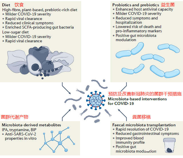 益生菌代加工|XBB毒株刷屏!科学补充益生菌,提升肠道免疫力才是关键! 益生菌代加工|XBB毒株刷屏!科学补充益生菌,提升肠道免疫力才是关键!