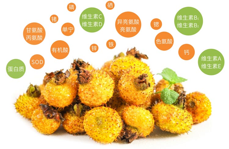 佳联生技|刺梨不愧是“金果子”,连续4年增长35%,产值超150亿元 佳联生技|刺梨不愧是“金果子”,连续4年增长35%,产值超150亿元