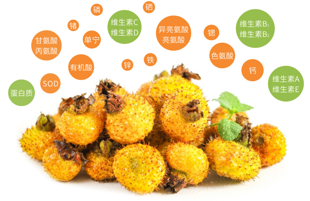 酵素工厂|万物回生,百病易发!早春养生关键就在免疫力! 酵素工厂|万物回生,百病易发!早春养生关键就在免疫力!