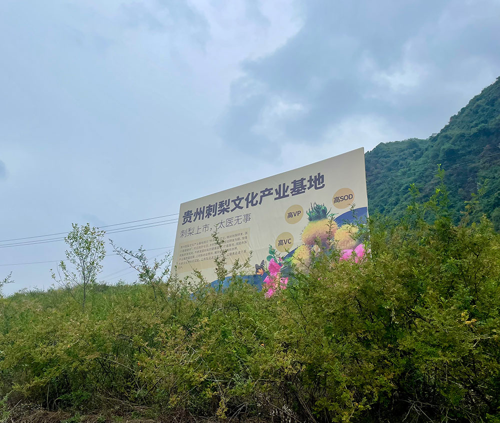 酵素工厂|万物回生,百病易发!早春养生关键就在免疫力! 酵素工厂|万物回生,百病易发!早春养生关键就在免疫力!