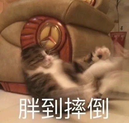刺梨酵素加工厂|刺梨能减肥是谣言嘛? 刺梨酵素加工厂|刺梨能减肥是谣言嘛?