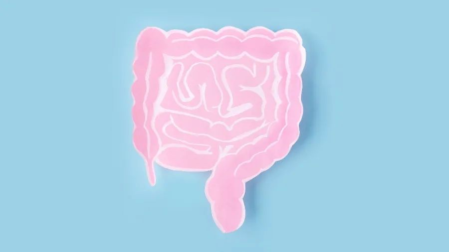 益生菌代加工| “益”起守护肠道健康 益生菌代加工| “益”起守护肠道健康