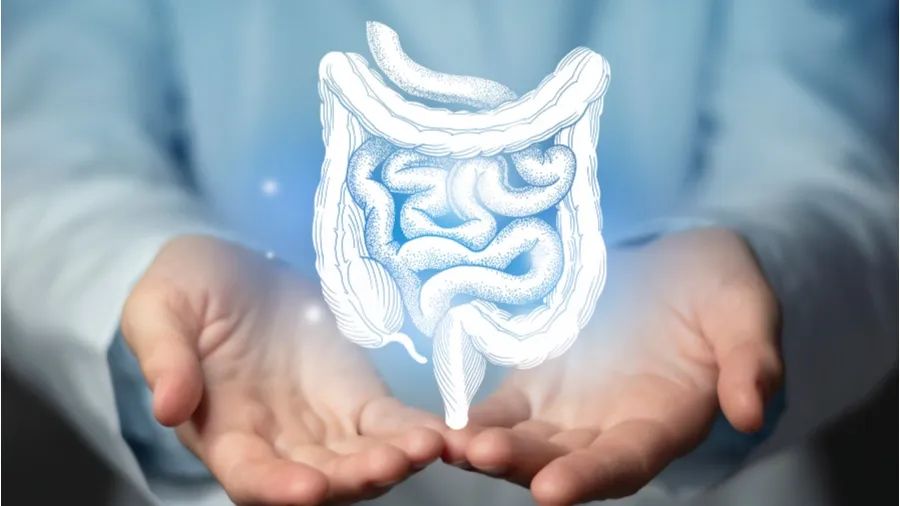 益生菌代加工| “益”起守护肠道健康 益生菌代加工| “益”起守护肠道健康