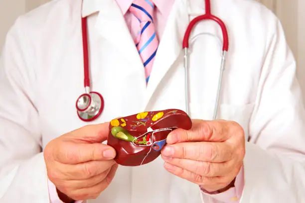 佳联生技|养护肝脏,守护健康 佳联生技|养护肝脏,守护健康