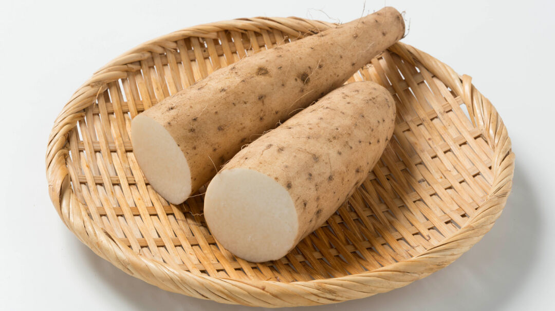 佳联生技|你的胃还好吗?盘点养胃原料 佳联生技|你的胃还好吗?盘点养胃原料