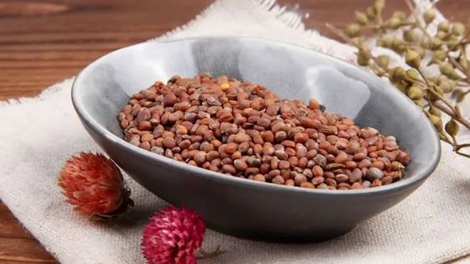 佳联生技|你的胃还好吗?盘点养胃原料 佳联生技|你的胃还好吗?盘点养胃原料