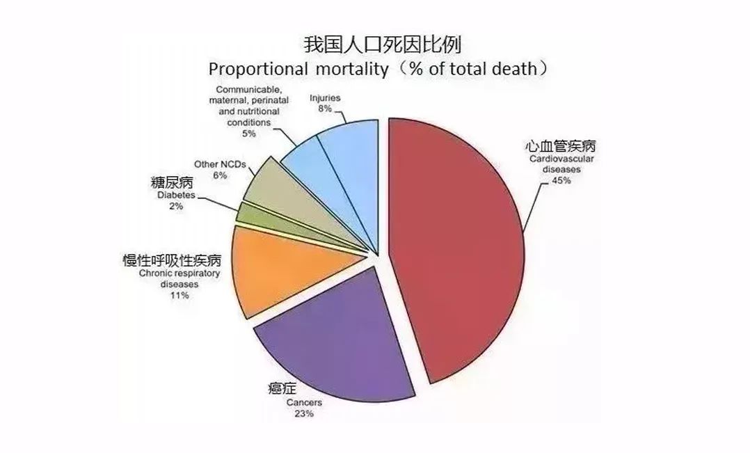 酵素代加工|科普心血管现状与市场前景 酵素代加工|科普心血管现状与市场前景