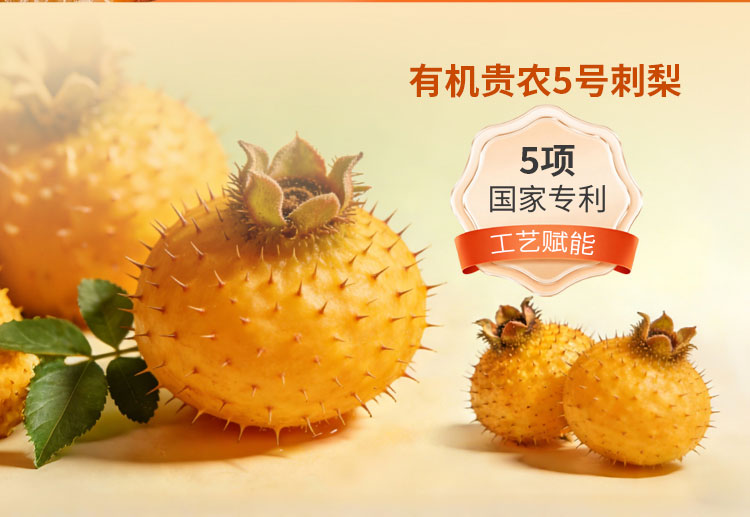 刺梨赋酵饮果蔬汁饮料 刺梨产品贴牌代工