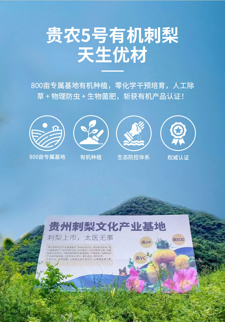 刺梨赋酵饮果蔬汁饮料 刺梨产品贴牌代工