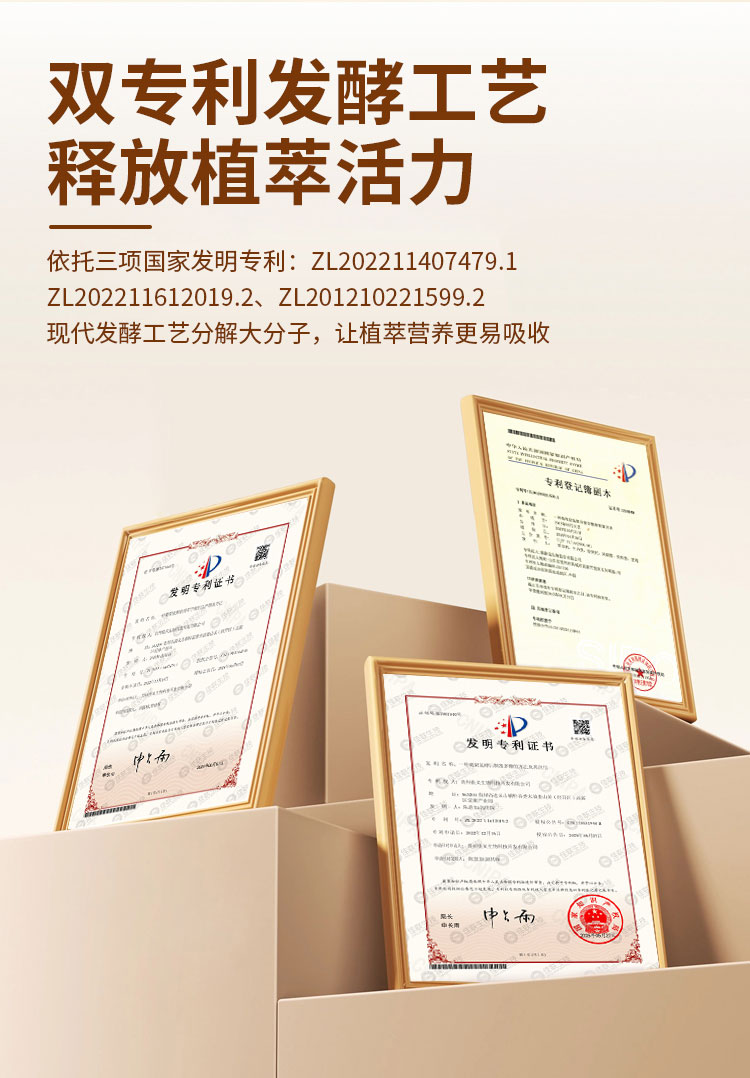 清润酵素膏发酵果蔬汁饮料