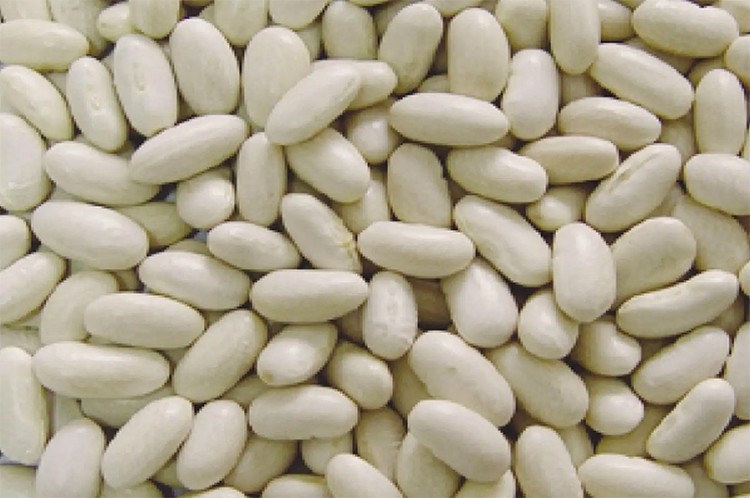 白芸豆酵素饮代加工厂哪家靠谱