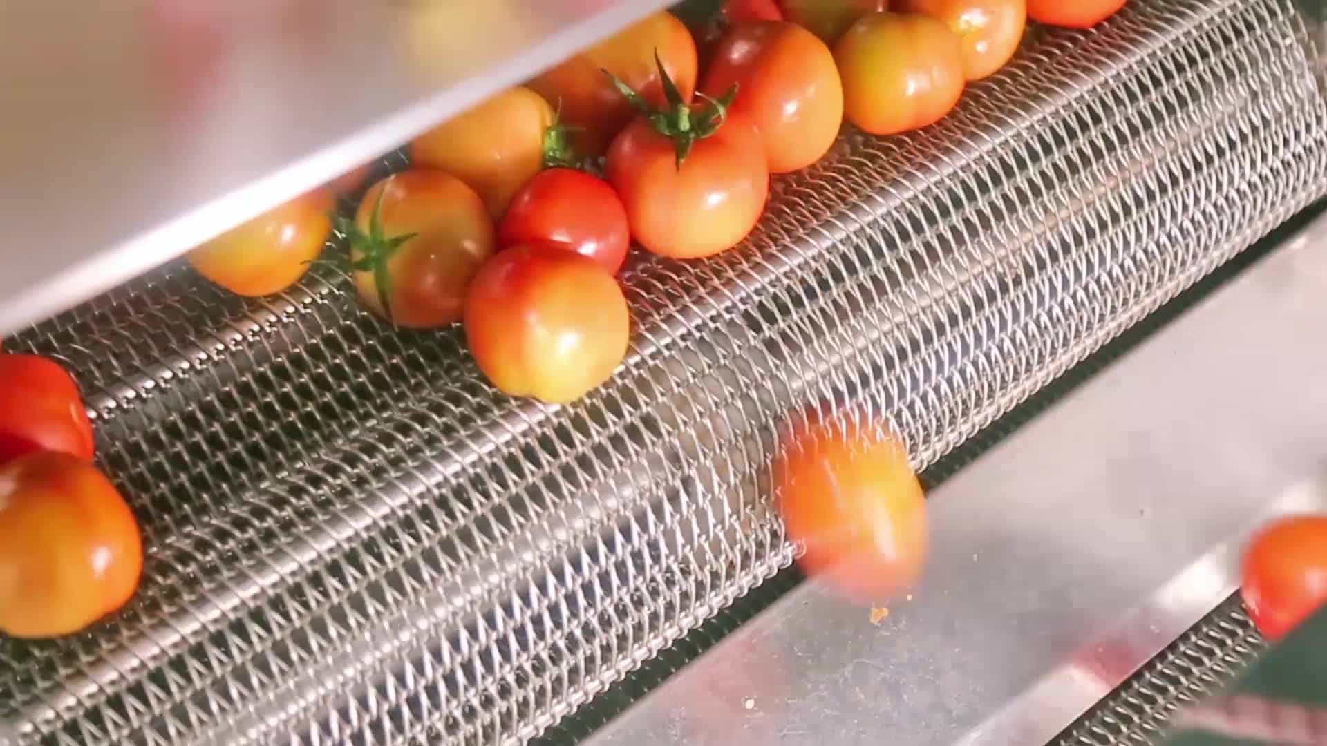 ​酵素代加工如何保障质量？