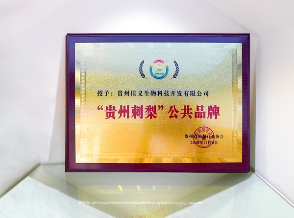 贵州刺梨公共品牌