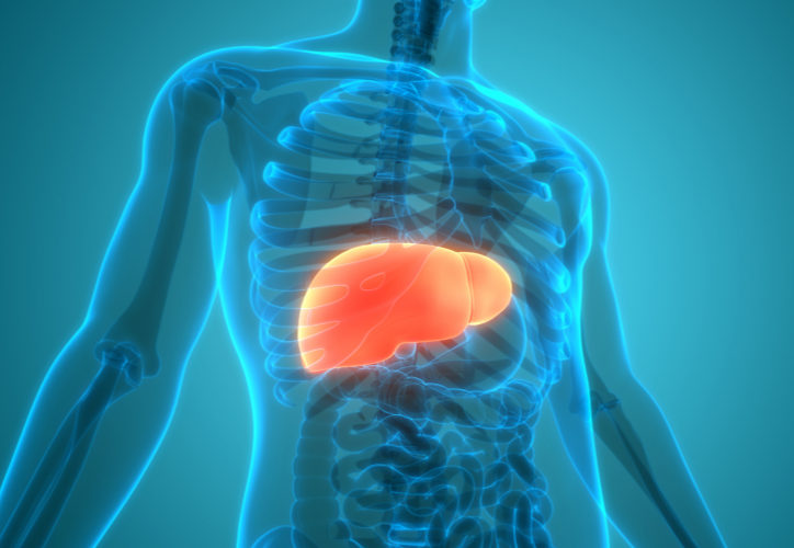 佳联生技｜春日肝脏调养与阳气护卫之道