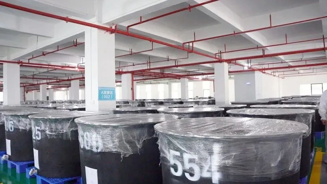 刺梨酵素工厂|发酵技术让营养更有“酵”劲！