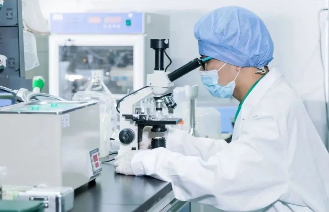 跨境爆品！合规酵素果冻代工，助您抢占全球健康零食蓝海！