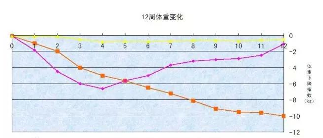 减脂酵素加工厂家|体重管理千亿市场,什么产品才能脱颖而出 减脂酵素加工厂家|体重管理千亿市场,什么产品才能脱颖而出