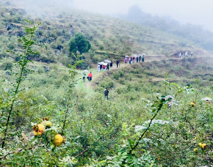 刺梨酵素代加工厂|当十家工厂都说自己最好,我该信谁? 刺梨酵素代加工厂|当十家工厂都说自己最好,我该信谁?