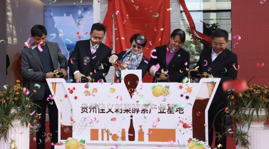 RRTf起点——把刺梨带入发酵健康体系