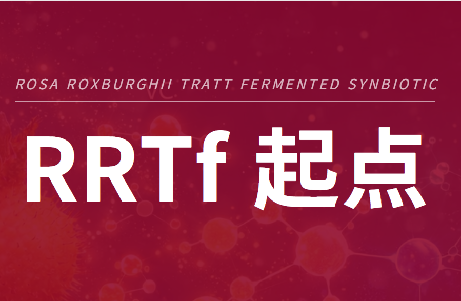 RRTf起点——把刺梨带入发酵健康体系
